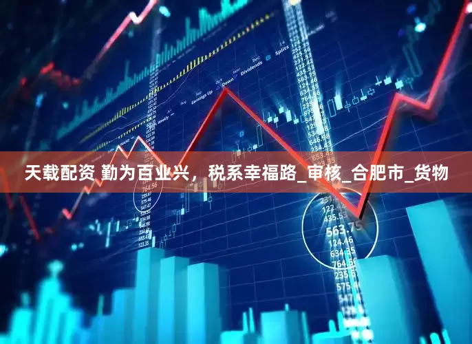 天载配资 勤为百业兴，税系幸福路_审核_合肥市_货物