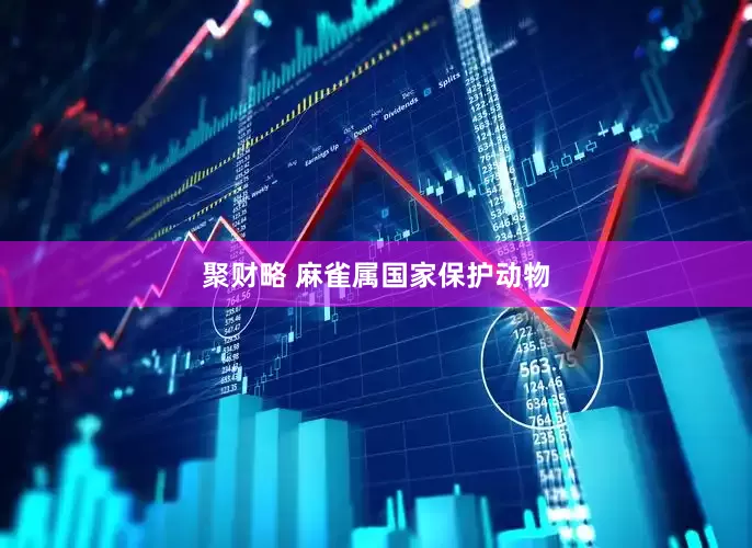 聚财略 麻雀属国家保护动物