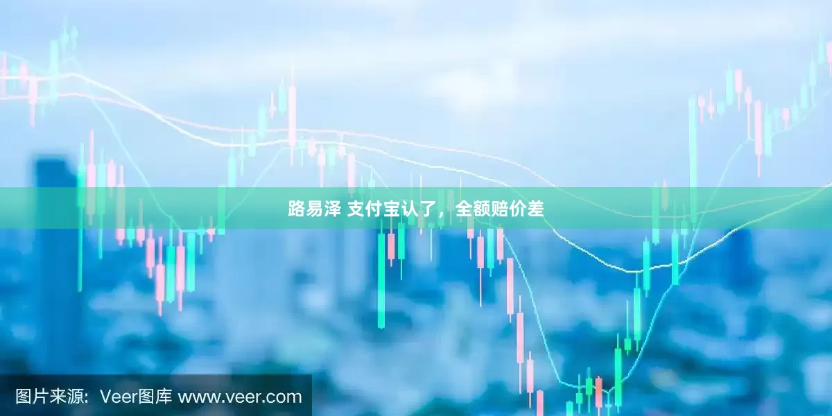 路易泽 支付宝认了，全额赔价差