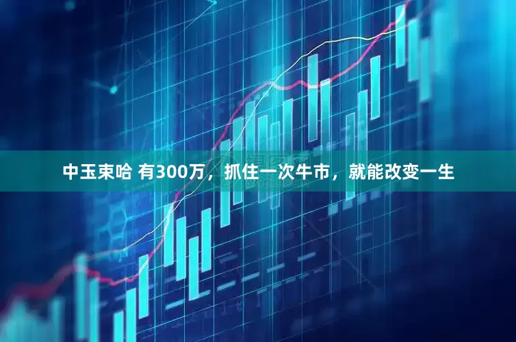 中玉束哈 有300万，抓住一次牛市，就能改变一生