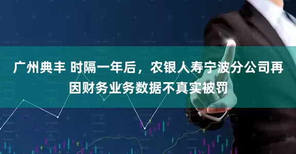 广州典丰 时隔一年后，农银人寿宁波分公司再因财务业务数据不真实被罚